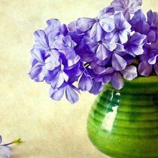 Схема вышивки «цветы»