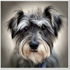 Схема вышивки «дружок»