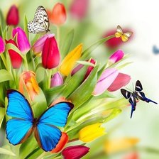 Схема вышивки «цветы»