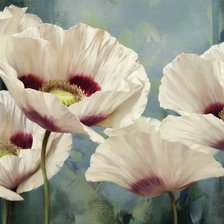 Схема вышивки «маки 2»