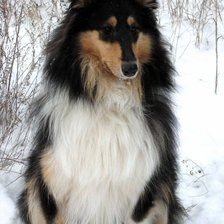 Схема вышивки «Бона»