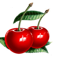 Схема вышивки «Вишенки»