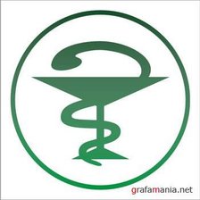 Схема вышивки «змея и чаша»