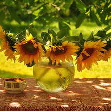 Схема вышивки «подсолнухи»