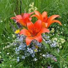 Схема вышивки «лилия с незабудками»