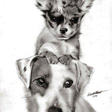 Схема вышивки «Собачки»