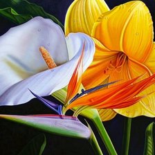 Схема вышивки «цветы»