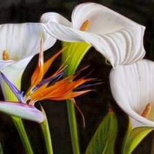 Схема вышивки «калы»