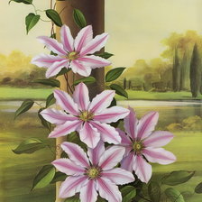 Клематисы у дерева