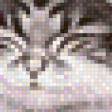Предпросмотр схемы вышивки «котята» (№604373)