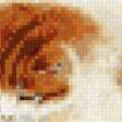 Предпросмотр схемы вышивки «котята» (№604387)