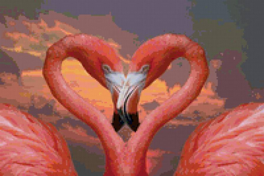 Фламинго - птицы, фламинго - предпросмотр