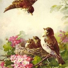 Схема вышивки «№604609»