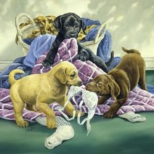 Схема вышивки «игривые щенки»