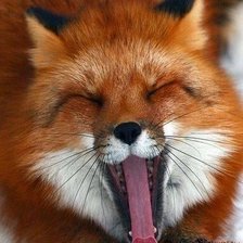 Схема вышивки «№604826»