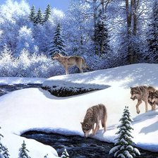 Схема вышивки «волки»