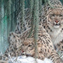 Схема вышивки «красавцы»