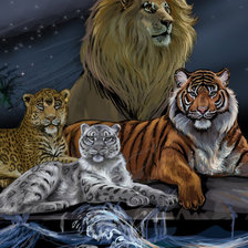 Схема вышивки «кошачье царство»