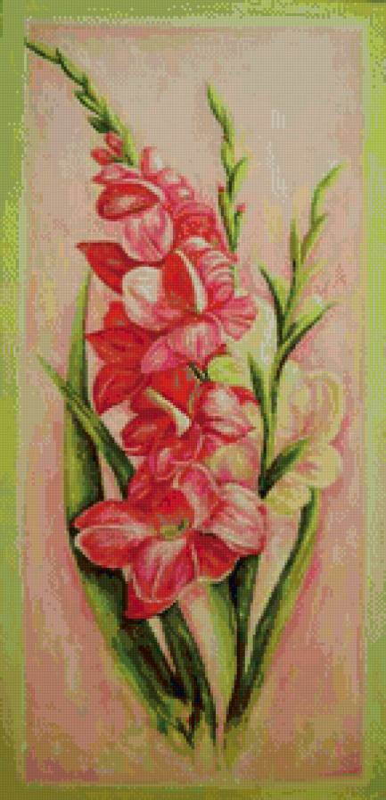 гладиолусы - гладиолусы, цветы - предпросмотр