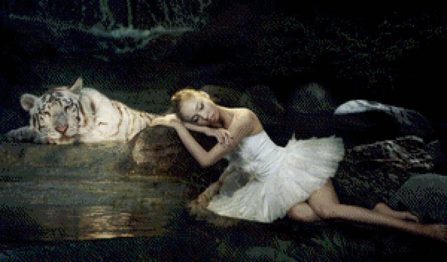 Девушка - тигр, двое, девушка - предпросмотр