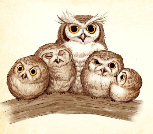 Совиная семейка - птицы, сова, монохром - оригинал