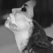 Схема вышивки «волк»