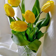 Схема вышивки «тюльпаны»