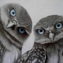 Схема вышивки «Молодые орлята»