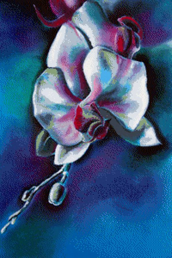 Радужная орхидея - азия, восток, цветы - предпросмотр