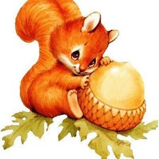 Схема вышивки «белочка»