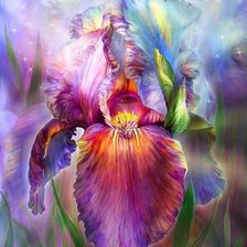 Схема вышивки «Фантастический ирис»