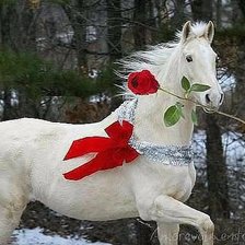 Схема вышивки «№605639»