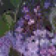 Предпросмотр схемы вышивки «Сирень» (№605748)