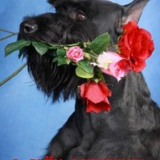 с днем рождения