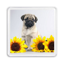 Схема вышивки «мопс с подсолнухами»