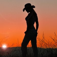 Схема вышивки «силуэт»