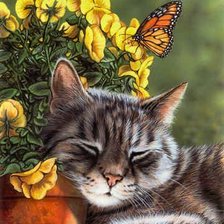 Схема вышивки «спокойствие»