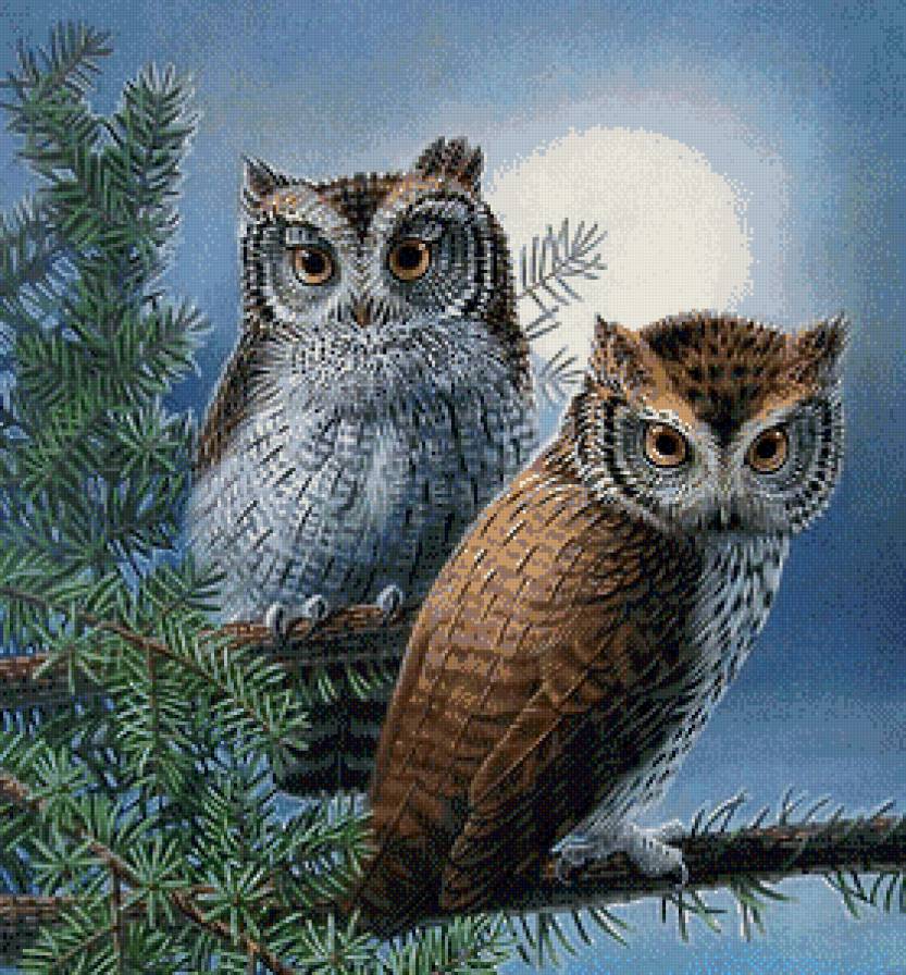 Две красавицы - pti4ki - предпросмотр