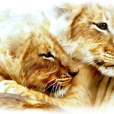 львиная парочка