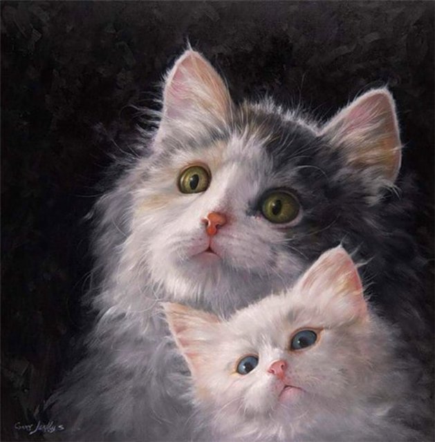 что там? - животные, кошки - оригинал