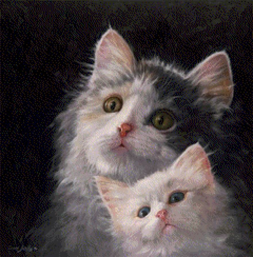 что там? - кошки, животные - предпросмотр