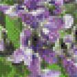 Предпросмотр схемы вышивки «Фиалки.» (№606079)