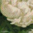 Предпросмотр схемы вышивки «Пионы.» (№606085)
