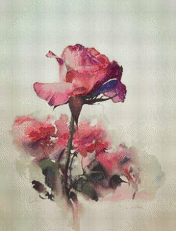 Акварельная роза - розы, цветы - предпросмотр