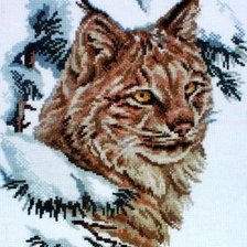 Схема вышивки «Рысь»