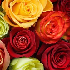 Схема вышивки «Розы»