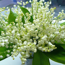 Схема вышивки «ландыши»