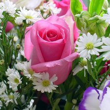 Схема вышивки «flori»