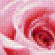 Предпросмотр схемы вышивки «розы» (№606557)