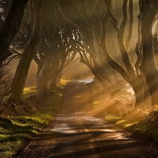 Схема вышивки «тени»